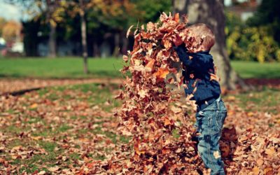 October News! Fall Festivals