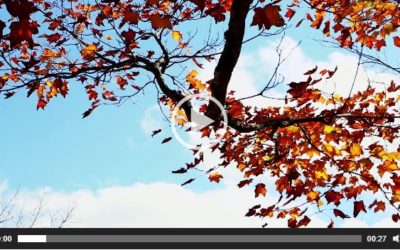 October Newsletter