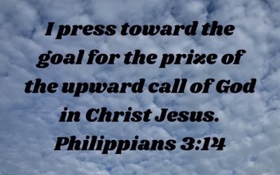 Press On or Quit?