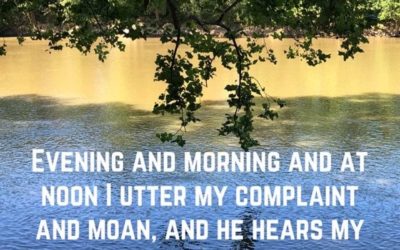 Morning, Noon and Night