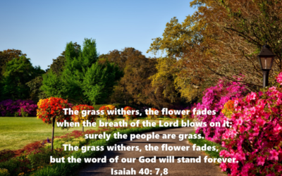 Where Have All the Flowers Gone?