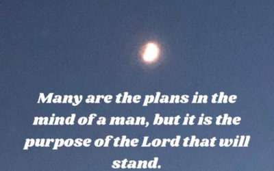 May I Have Your Attention?