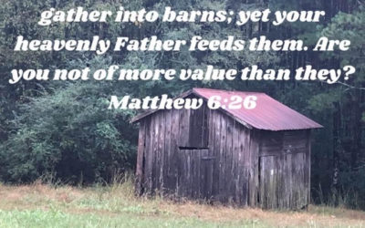 Everyone Is Important