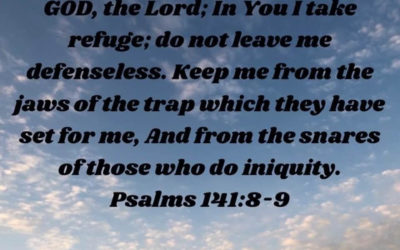 The Dog Who Doesn’t Like Me