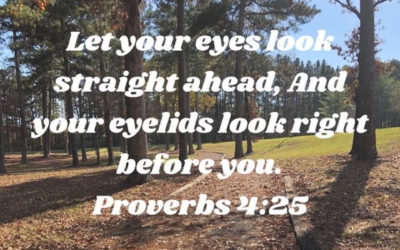 A Cure For Distraction