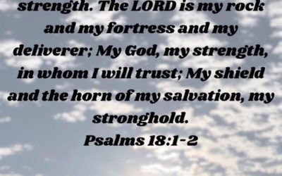 Looking Back With Gratefulness