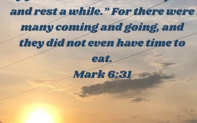 Did You Forget to Drink Water