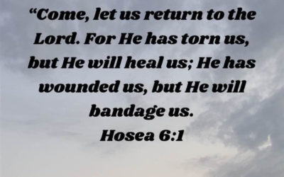 Let’s Agree On One Thing…