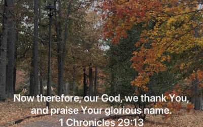 November Community Church Ministry Newsletter 2022